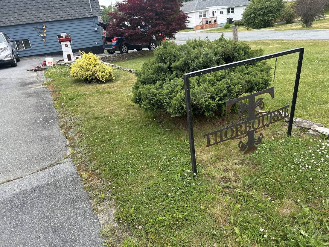 Garden bed before: overgrown and weedy