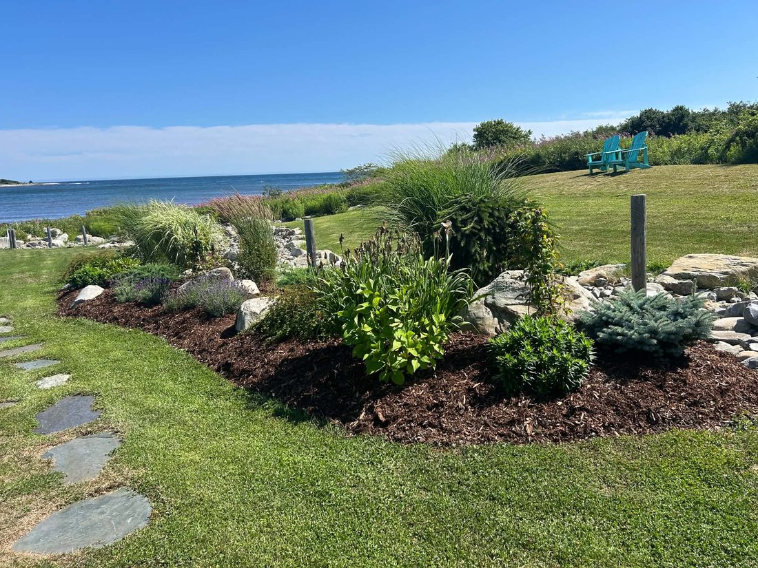 Oceanfront garden bed with fresh mulch, ornamental grasses, hostas and lavender, edged around natural stone and overlooking the Atlantic